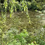 Paradise Holiday home Neuberg an der Muerz