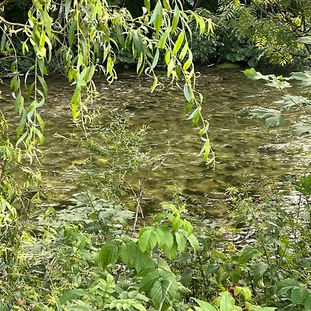 Paradise Dom wakacyjny Neuberg an der Mürz