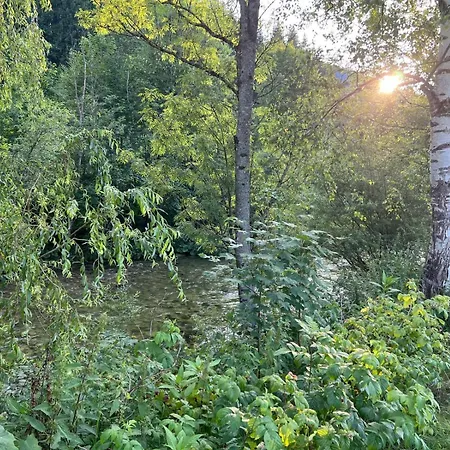 Paradise Dom wakacyjny *