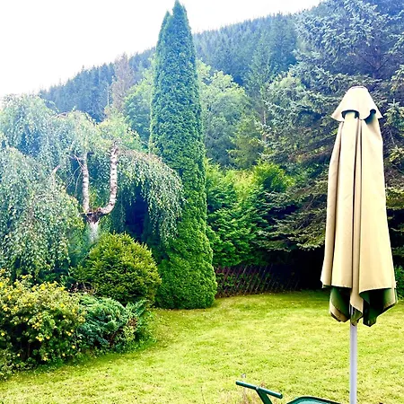 Paradise